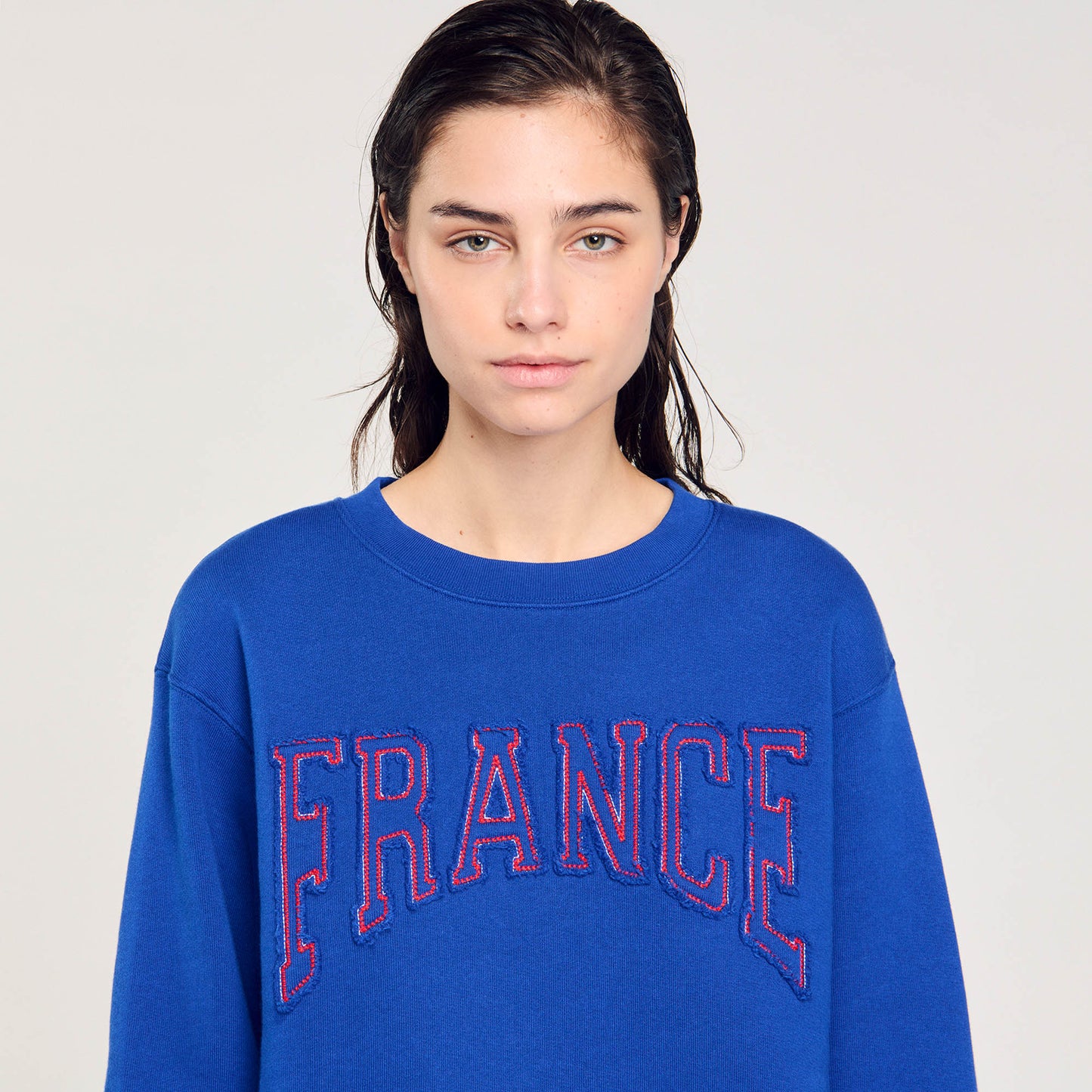 Sudadera con bordado "France"