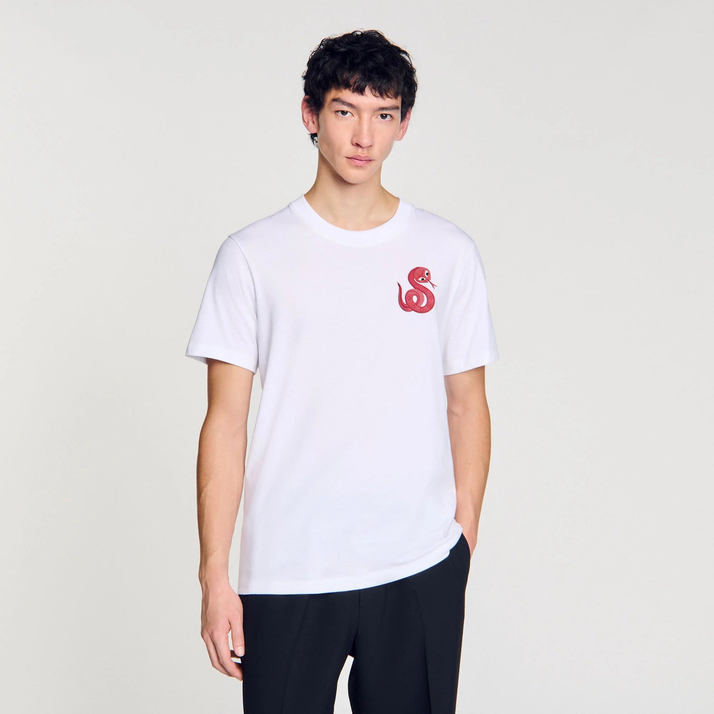 Camiseta Serpiente